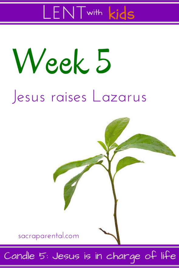 Lent with Kids Week 5, Jesus is in charge of life and death | Sacraparental.com Lent with Kids